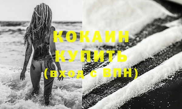 твердый Вяземский