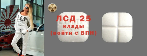 твердый Вяземский
