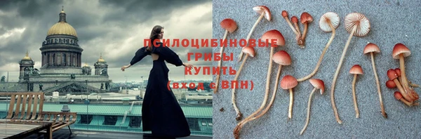 spice Вязники
