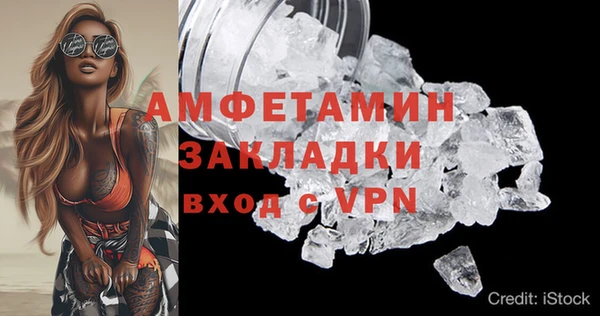 твердый Вяземский
