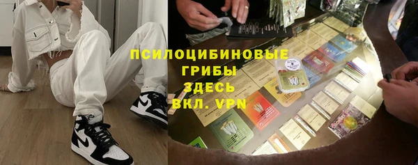 твердый Вяземский